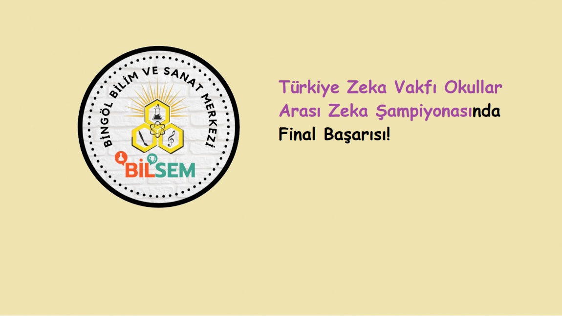 Türkiye Zeka Vakfı Zeka Oyunları Şampiyonasında Final Başarısı!